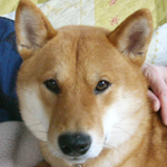 b0057675_10222620.jpg