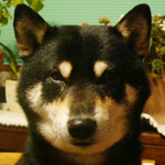 b0057675_10372883.jpg