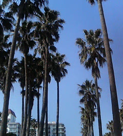 d0065116_16511330.jpg