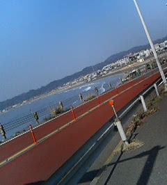 d0065116_1702348.jpg