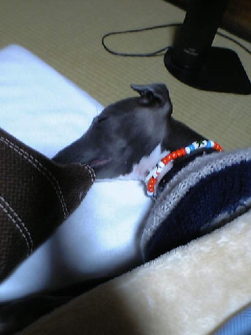 c0003217_22161091.jpg