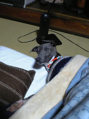 c0003217_2217554.jpg