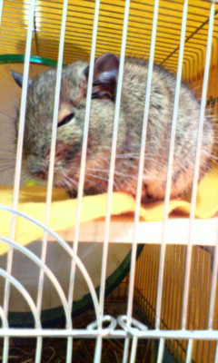 だよね~~(*´v`*)_f0068932_312660.jpg