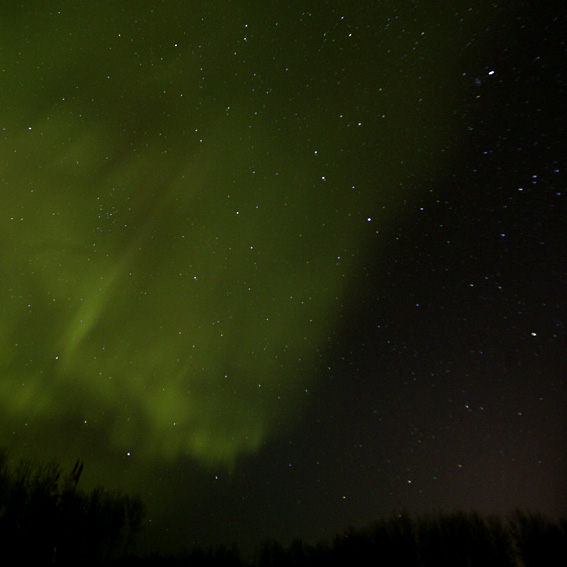 c0053383_9125279.jpg