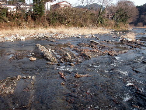 d0045626_201438.jpg