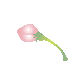 a0045932_2153880.gif