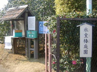 e0016135_1525286.jpg