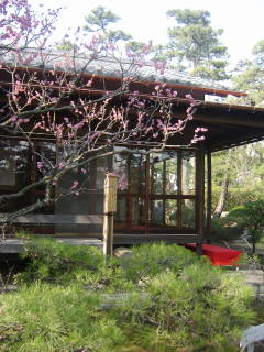 e0016135_1526254.jpg