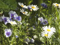  (￣＂￣;) _d0008273_21211070.jpg