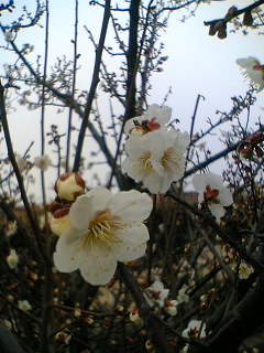 c0026594_22471834.jpg