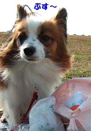 c0044199_08513.jpg