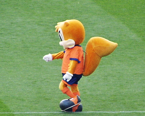 a0024005_6294631.jpg