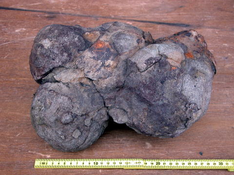 d0045626_230719.jpg
