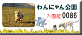 パズル_d0056828_1635367.gif