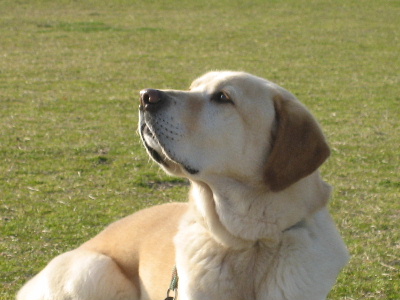 a0044136_1963040.jpg