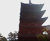 興福寺_e0002541_2154798.jpg