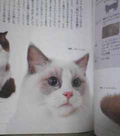リンダちゃん~_e0033609_1332951.jpg