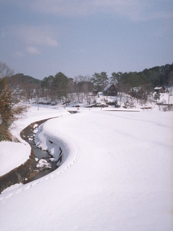 見納め、雪景色_d0036630_0175788.jpg