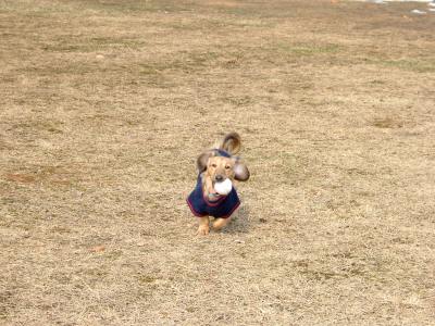 今年初の公園。_b0070747_16202837.jpg