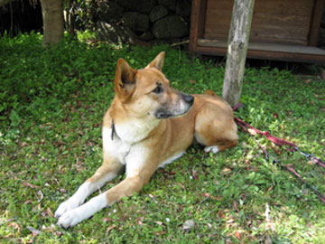 a0054948_13503856.jpg