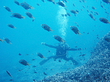 f0080385_84861.jpg