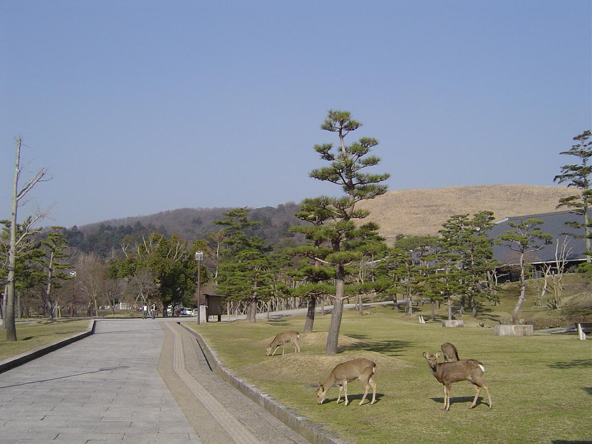a0012000_23224193.jpg