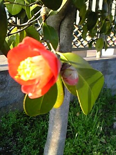 c0037701_0143799.jpg