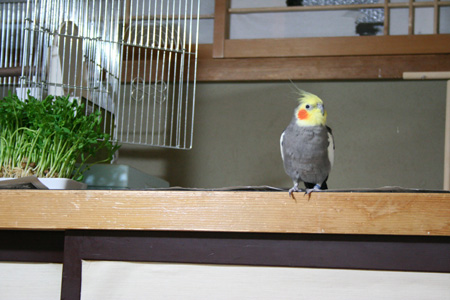a0024504_21573253.jpg