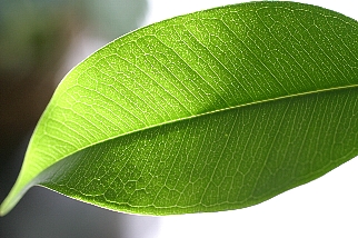c0039205_00148.jpg