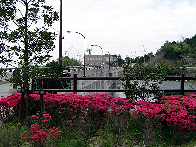 a0042310_13182210.jpg