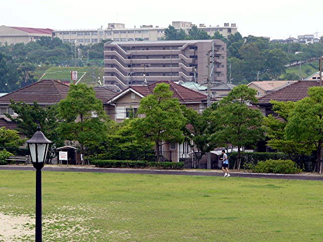 a0042310_13422642.jpg