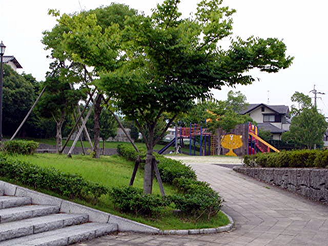 a0042310_13465376.jpg