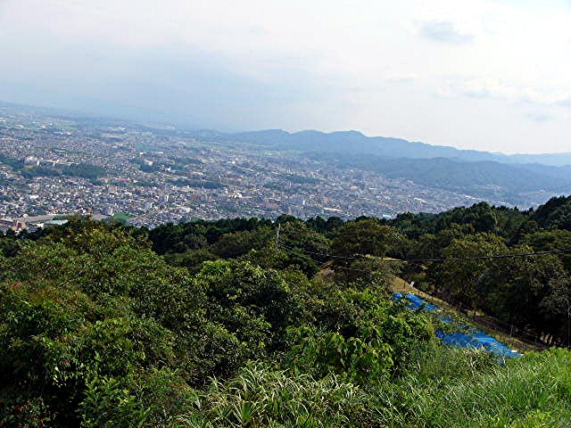 a0042310_1351411.jpg