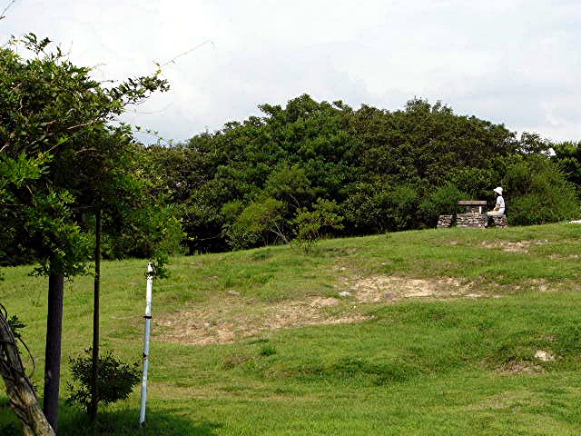 a0042310_13535488.jpg