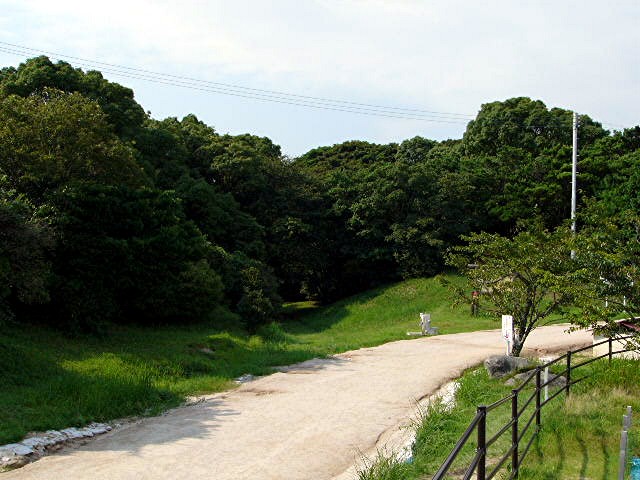 a0042310_1356644.jpg