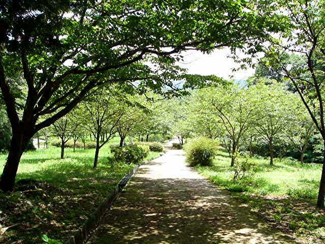 a0042310_1432563.jpg