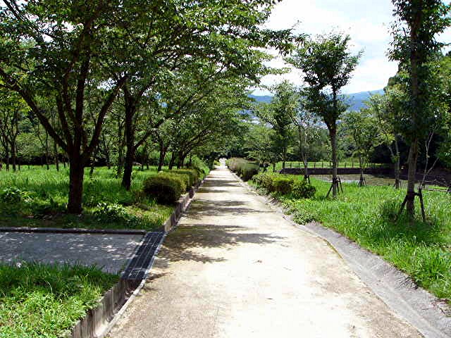 a0042310_14346100.jpg