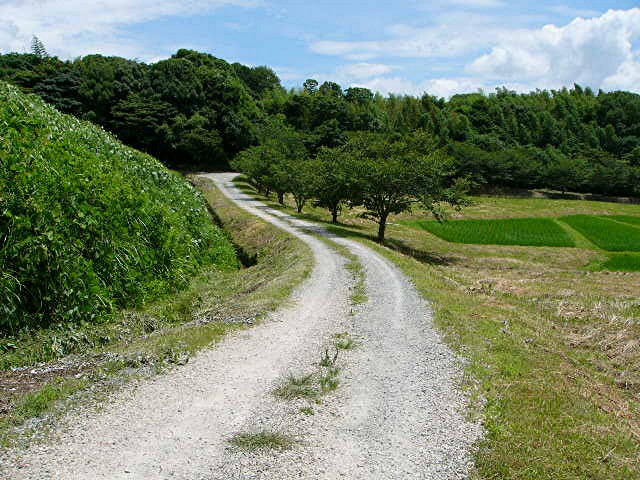 a0042310_1445063.jpg