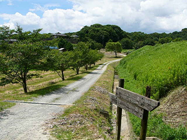 太宰府思い出の場所 １_a0042310_1451189.jpg