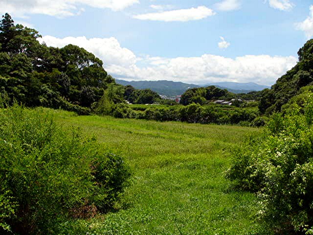 a0042310_1455760.jpg