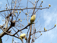 b0053429_21115367.gif