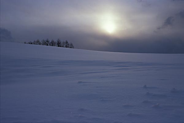 e0083559_2105527.jpg