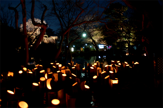 東山花灯路　其の一。_a0046364_2049180.jpg