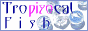 e0049877_23365482.gif