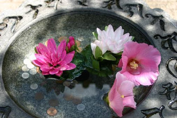 <第十四番 寿福山 梅岩寺>_a0045381_641293.jpg