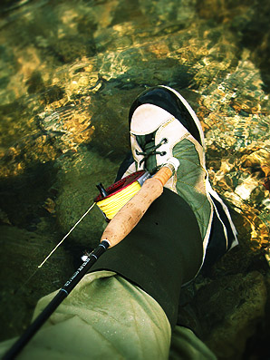 wading shoes_e0009009_23515538.jpg