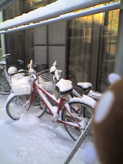 f0084010_19525350.jpg