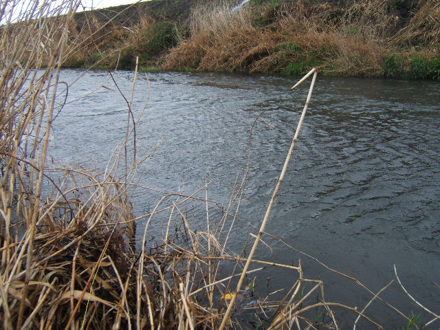 f0079411_2347048.jpg
