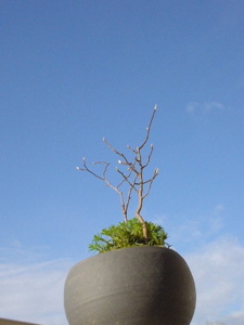 e0092221_13313534.jpg