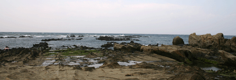 c0042548_12174253.gif